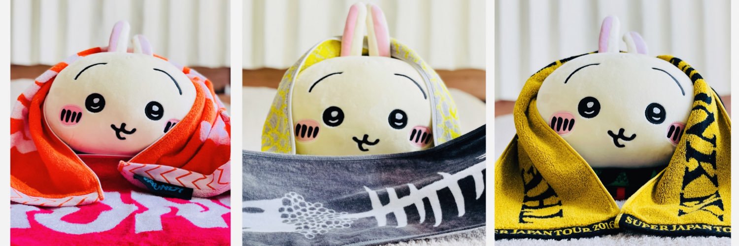 鮎猫ﾆｬﾝﾊﾟﾘ🐾 banner