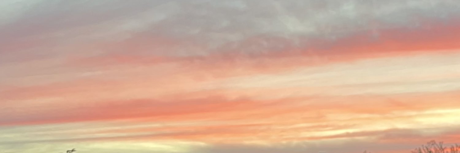 Gustaf Stetler banner