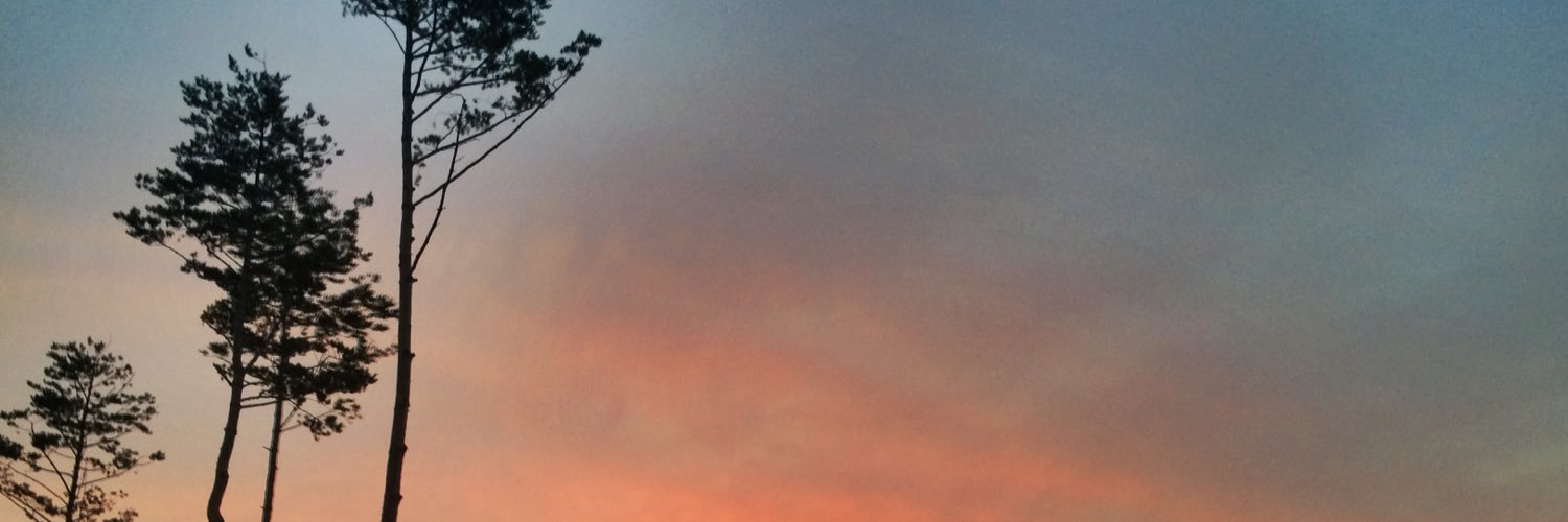 Rachael Smith banner