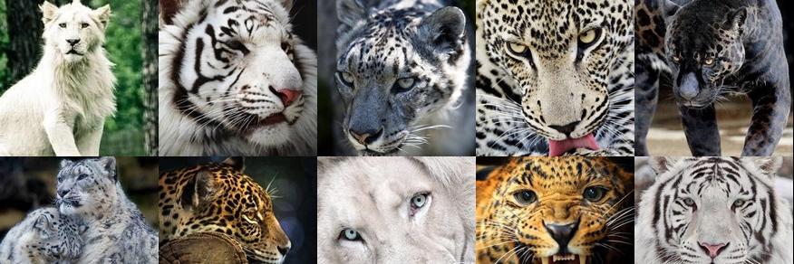 Sylwiak587's profile banner image