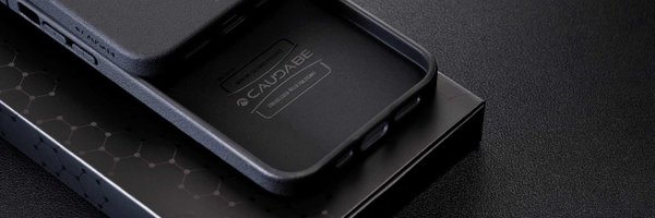 Caudabe Profile Banner