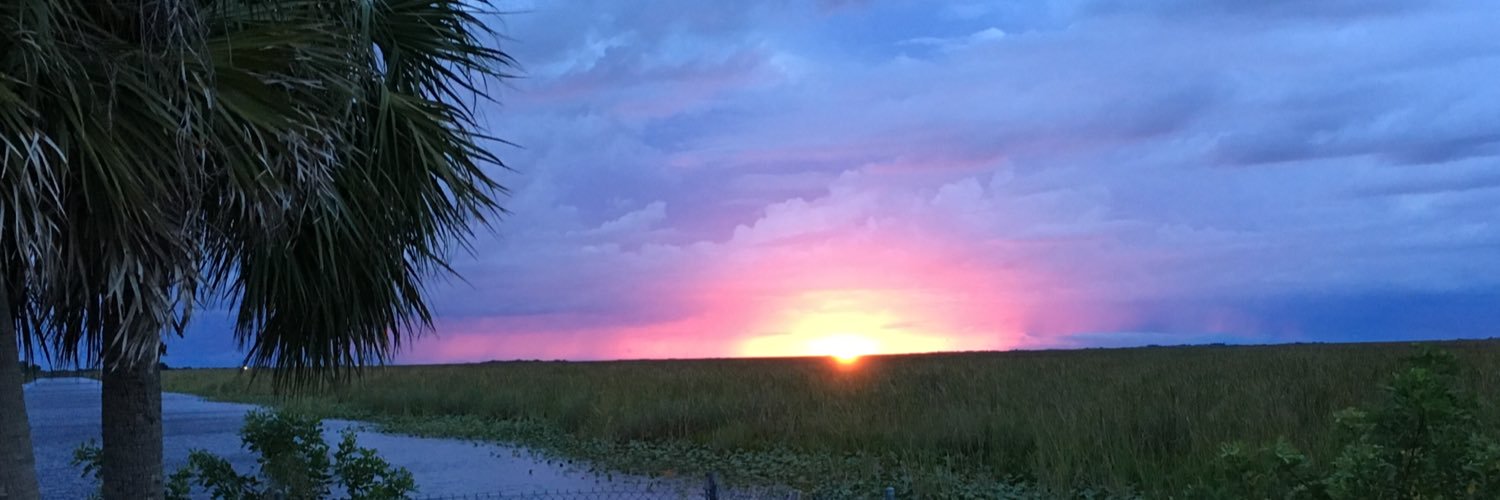 annettev30's profile banner image