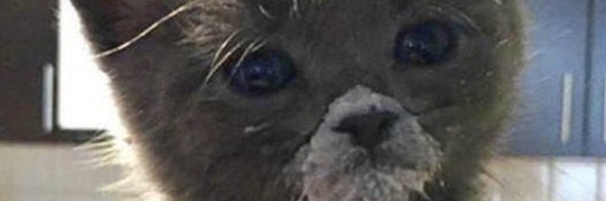 dalpal_'s profile banner image