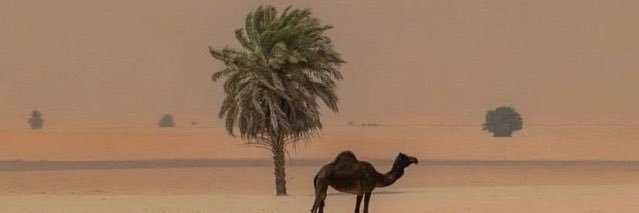 ismu44_'s profile banner image