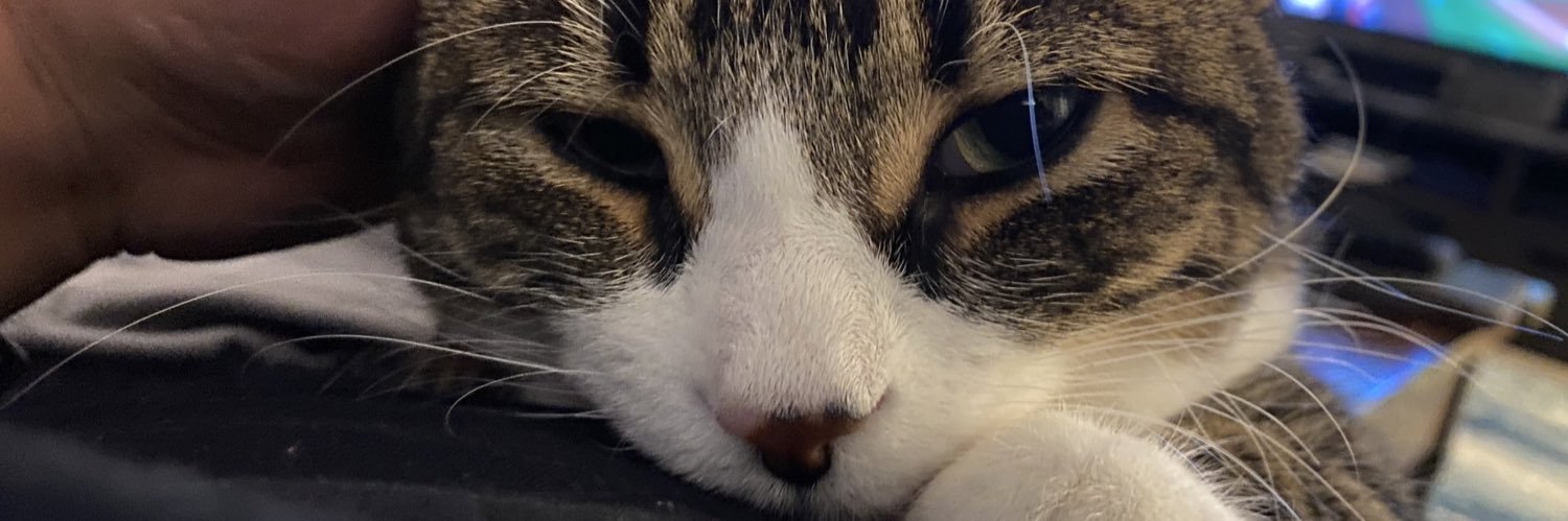 TheGameSheet's profile banner image