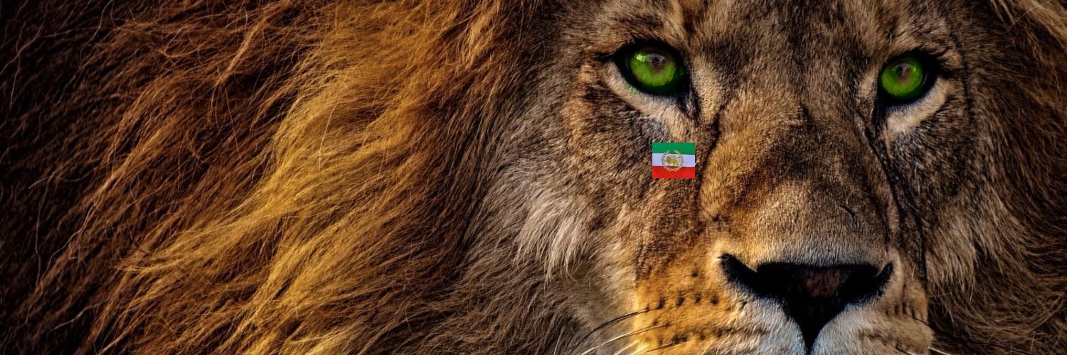 Based Cup Cake (Wolf & Grizzly Advocate) 🇺🇸 🇮🇱 banner