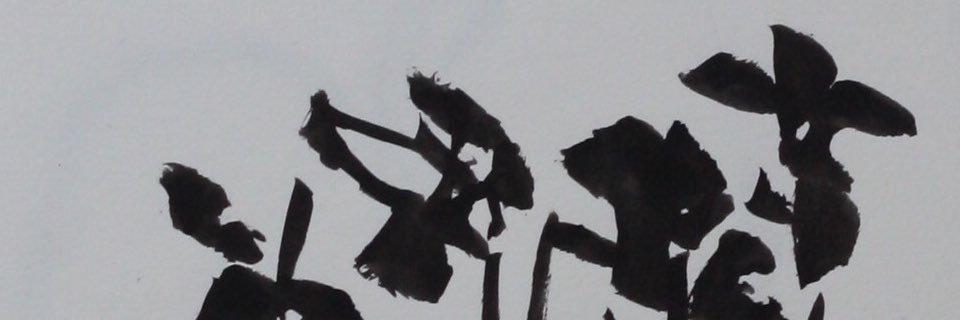 Linda Williams banner