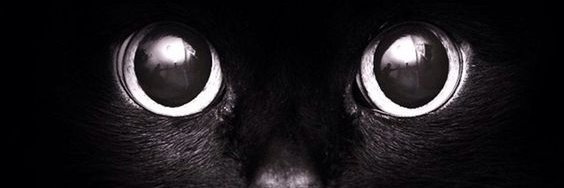 febrinamz's profile banner image