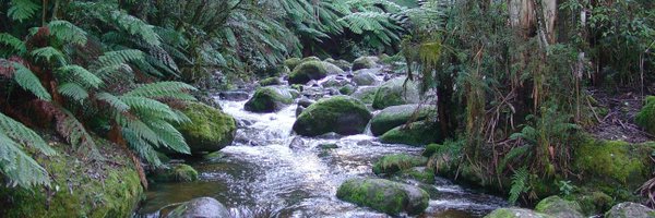 CES_Vic Profile Banner