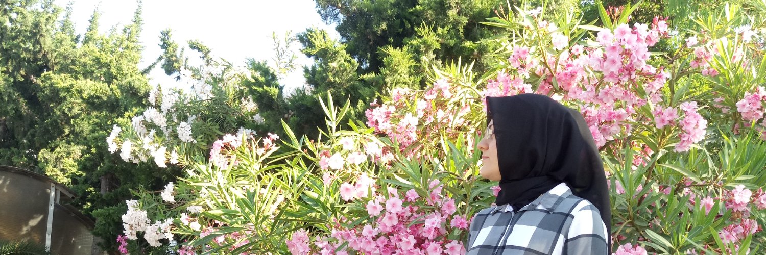 pancubin's profile banner image
