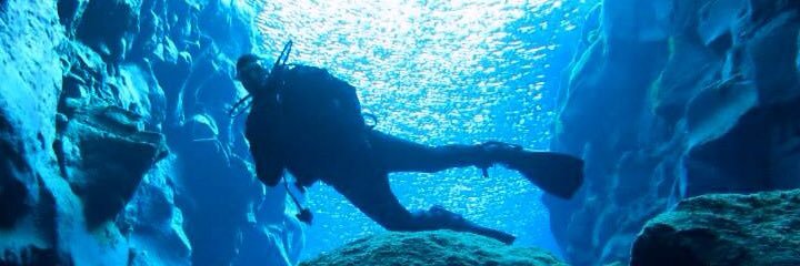 BT Murphy Lab banner