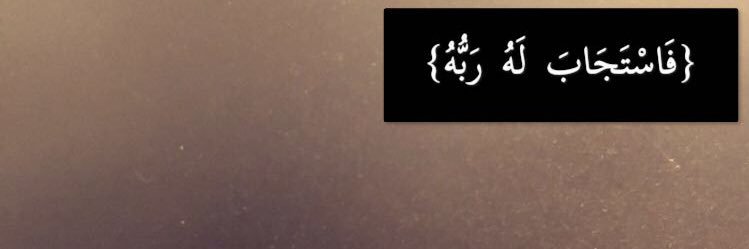 Tm7Bald's profile banner image