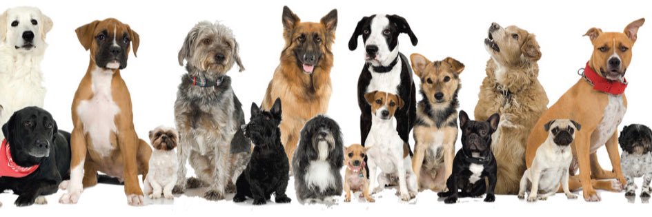 _ABFrescue's profile banner image