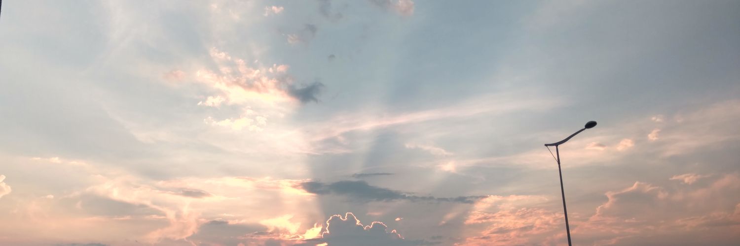 摸鱼的鱼 banner