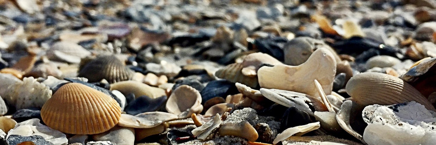 Kristen Hackbarth banner