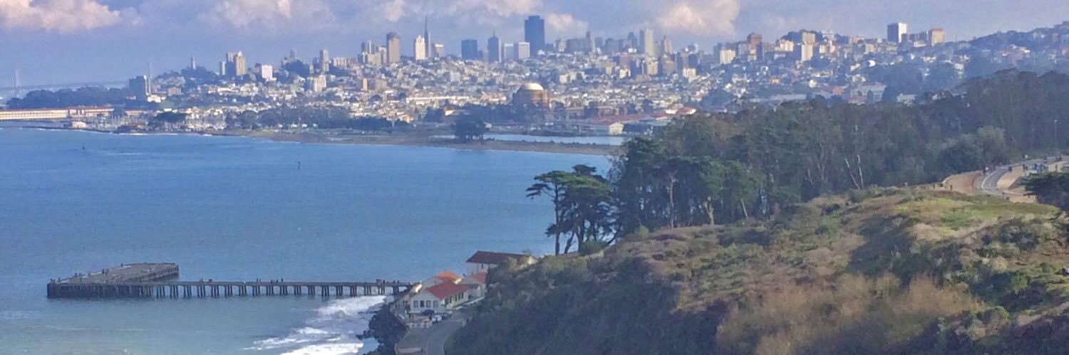 Mohamed Ali Tal-Jebini, MD banner