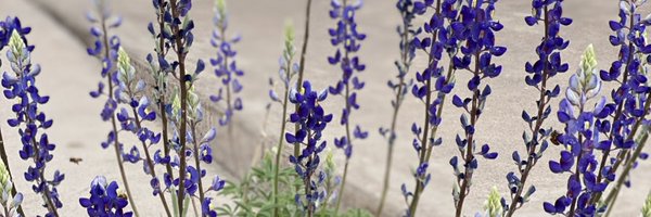 micah_tomlin Profile Banner