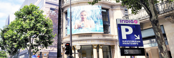 GroupIndigo_ Profile Banner