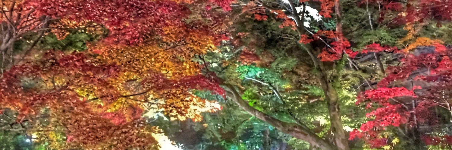fukshy's profile banner image