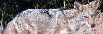 JoeRShafer's profile banner image