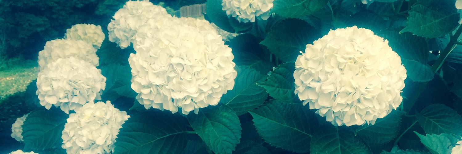 s_usmr's profile banner image