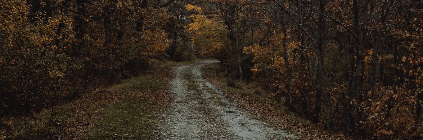 Ömer Bora Balamir banner