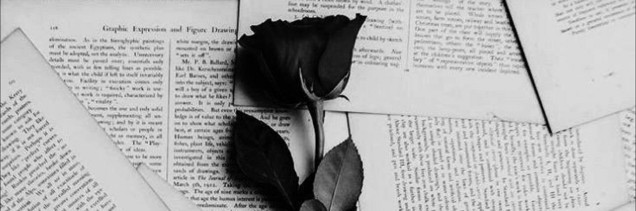 SincerelySams's profile banner image