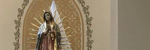 Kijakazi 🐾 banner