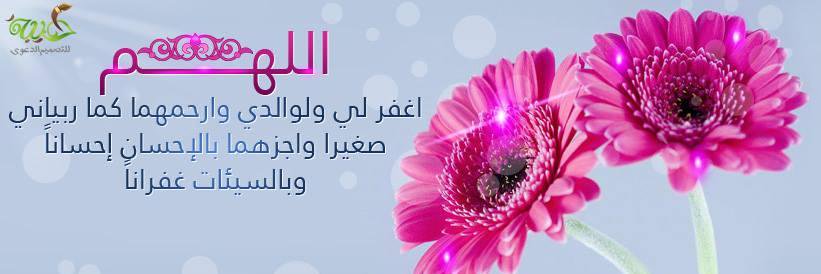 aliseeb7's profile banner image