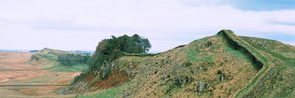 nsmarkov Profile Banner