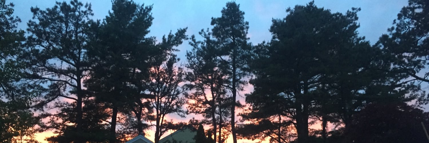 DEV_ildog's profile banner image