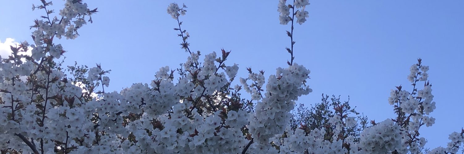 LivBramhall's profile banner image