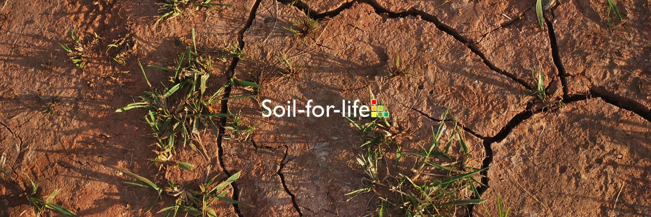 Soil-for-life banner
