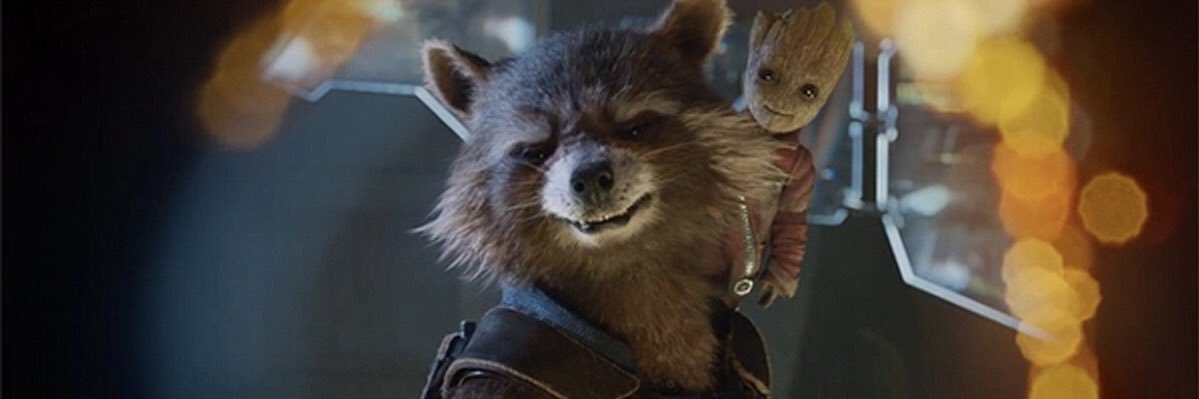 brake4squirrels's profile banner image