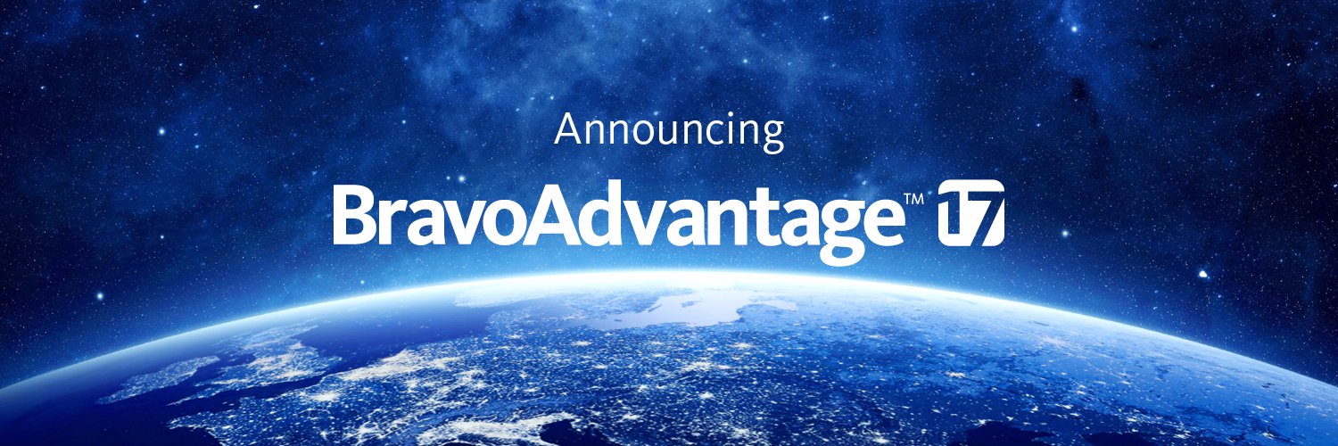 BravoSolution banner