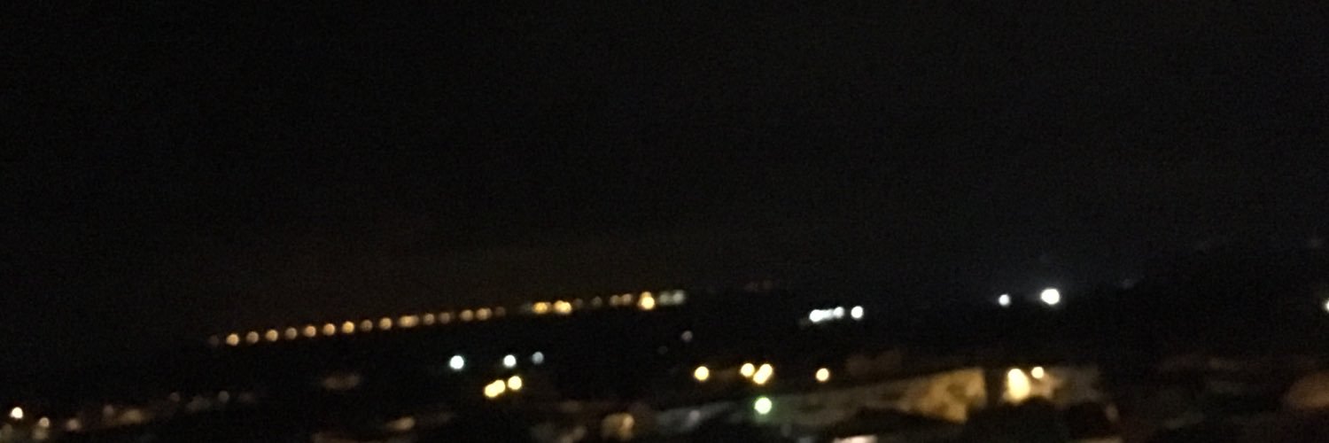 lafossettaari's profile banner image