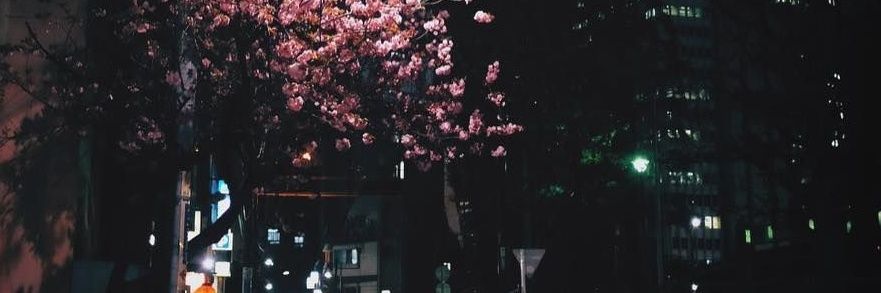 aLeia 💙 banner