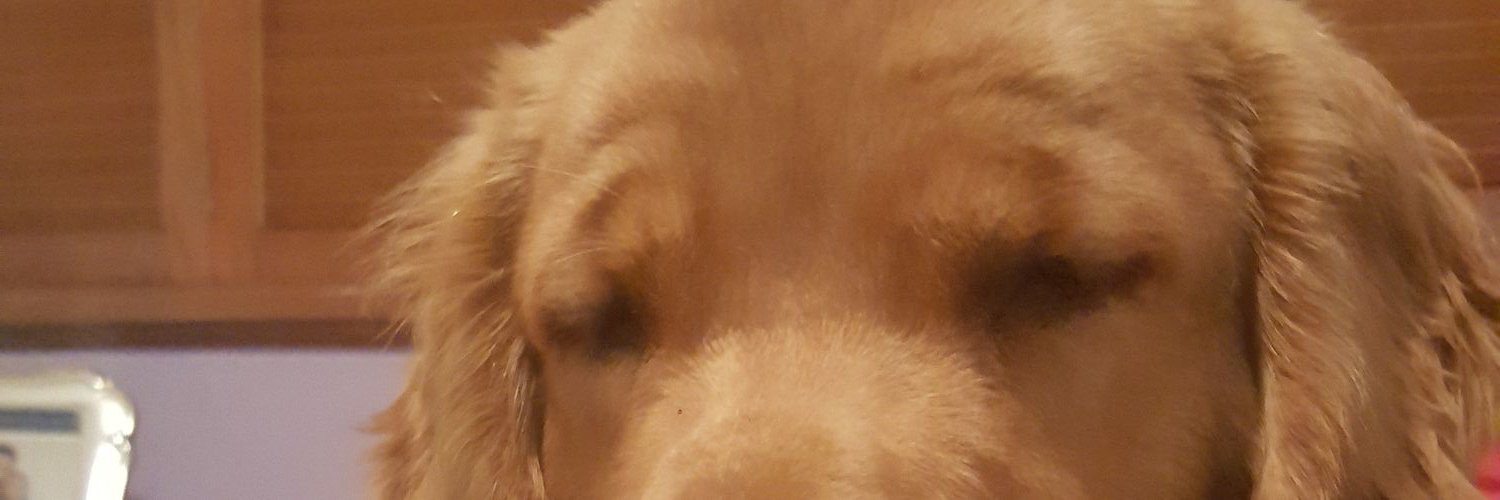 ladetorrescompa's profile banner image