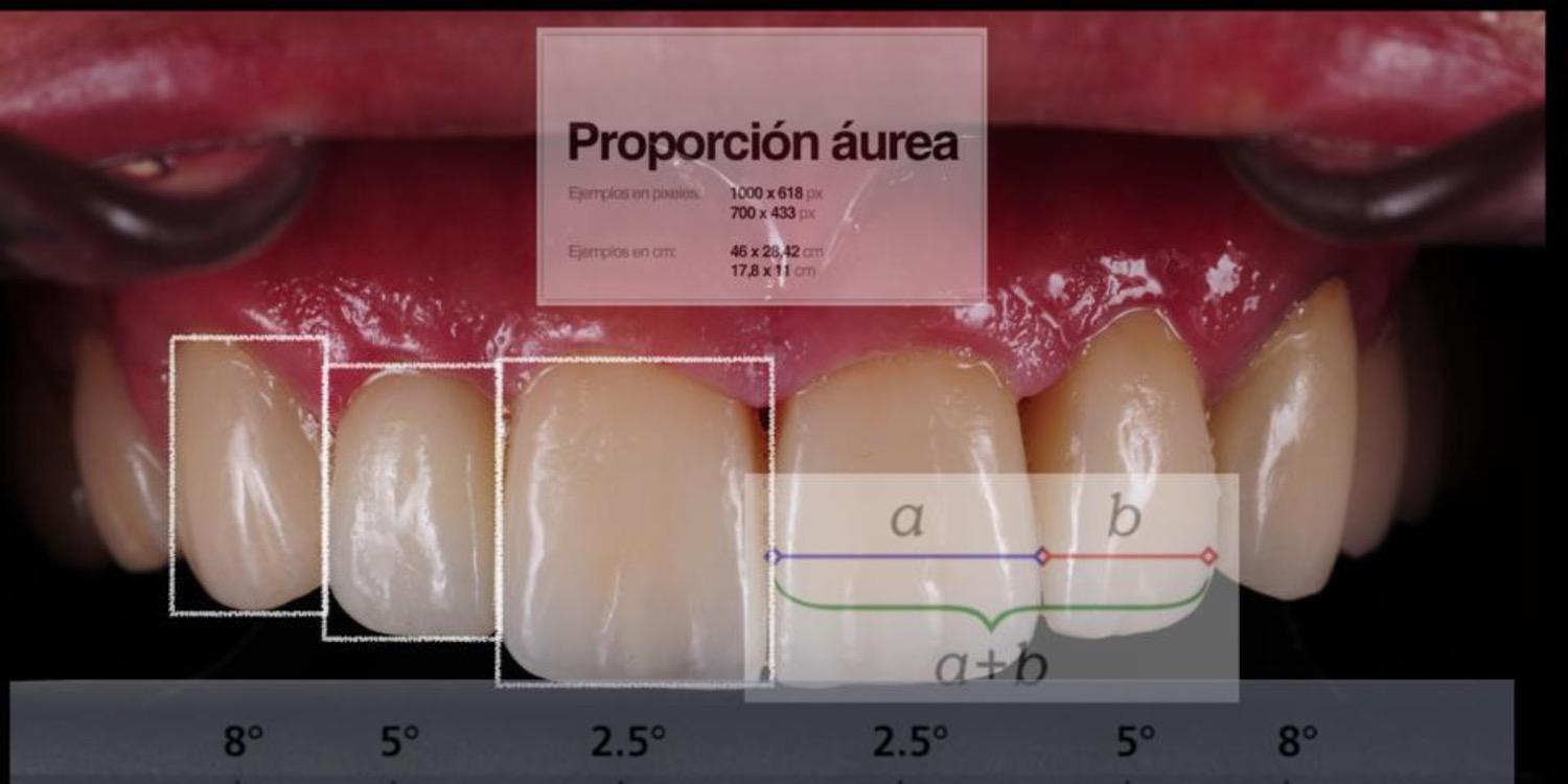 dentalmis's profile banner image