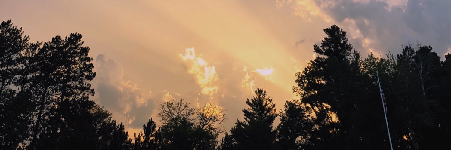 naomigoff's profile banner image