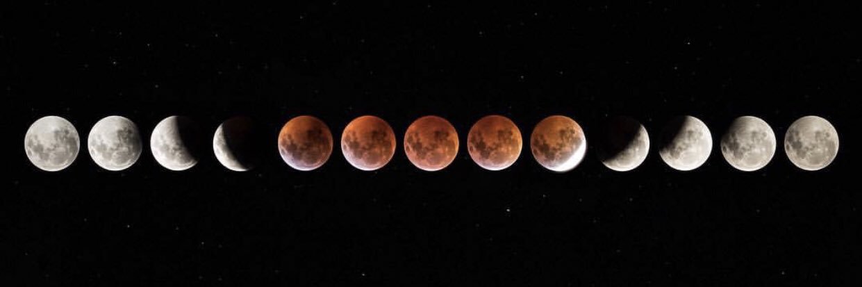 cosmic_oxen's profile banner image