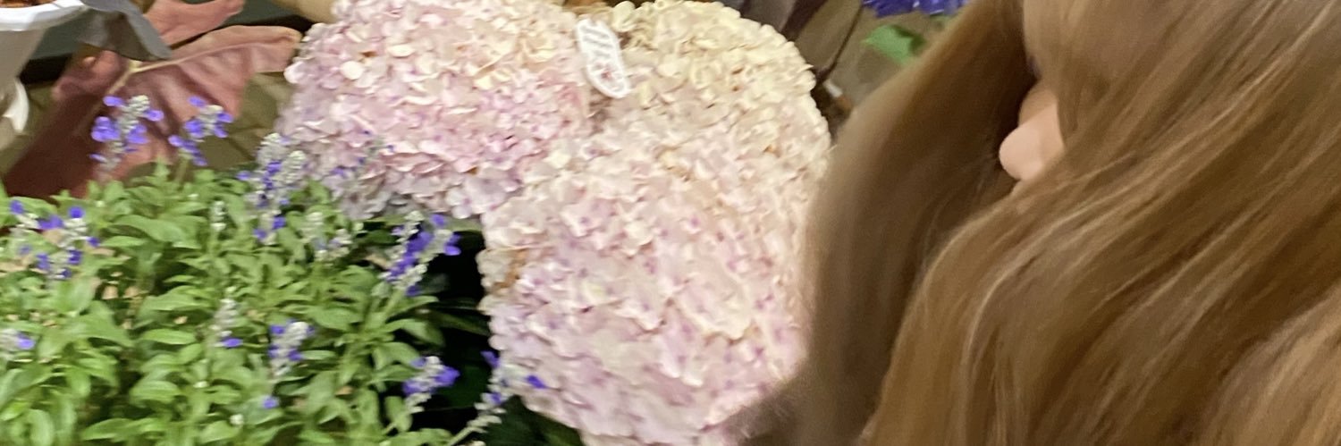 efyy🌈 banner