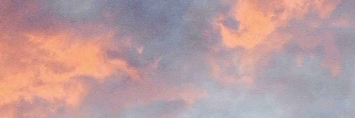 alealarconf's profile banner image
