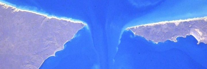 Herman Muller banner