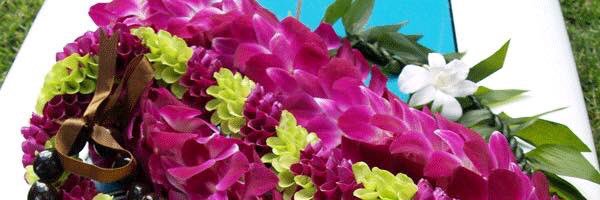 HawaiiCEC's profile banner image