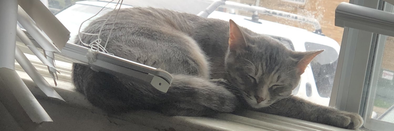 SLEVE MCDICHAEL banner