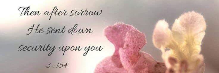 Syida_Flores's profile banner image