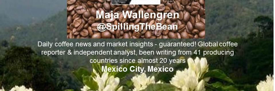 Maja Wallengren banner