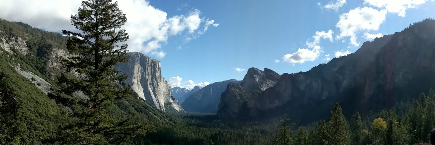 Tim (o'thy) Johnson banner