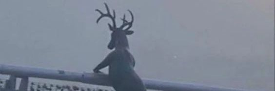 alelotz's profile banner image